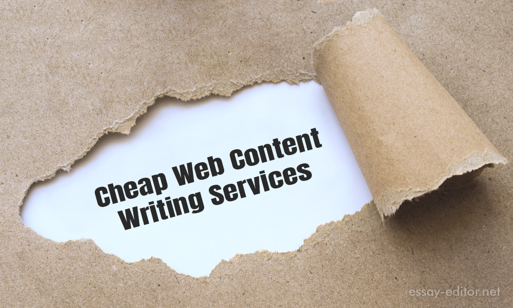 Cheap Web Content Writing Service